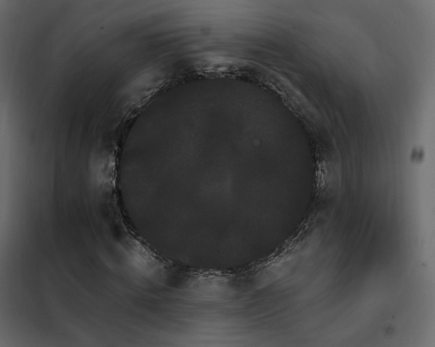 X0000102530820200808081449