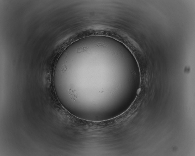 X0000102530821200808081449