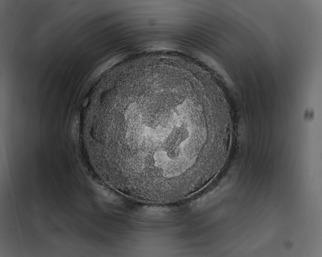 X0000102530825200808081450