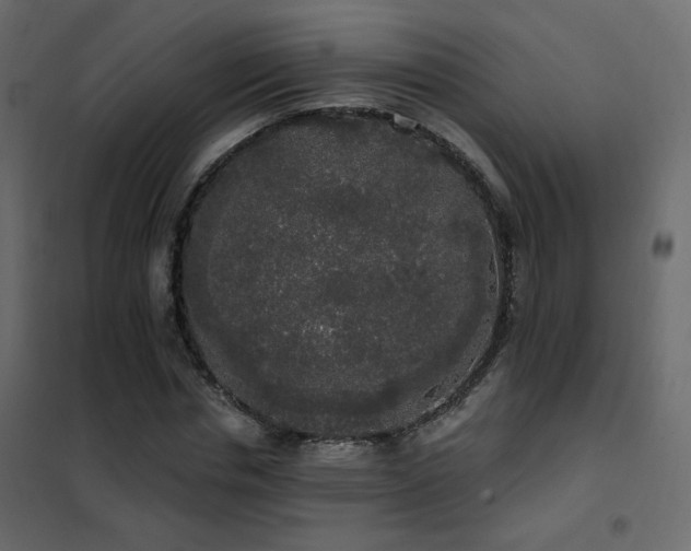 X0000102530826200808081450