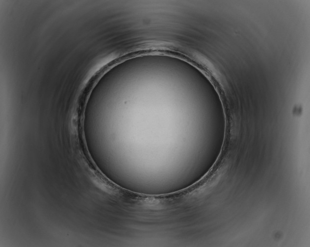 X0000102530827200808081450