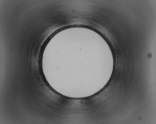 X0000102530828200808081450