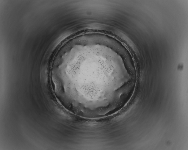 X0000102530829200808081450