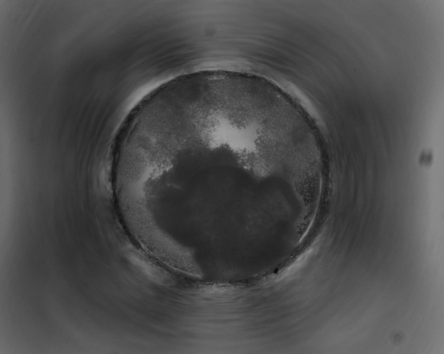 X0000102530830200808081450