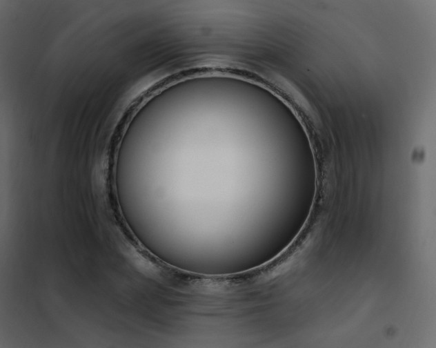 X0000102530831200808081450