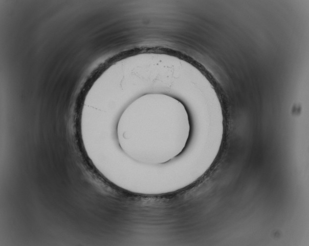 X0000102530832200808081450