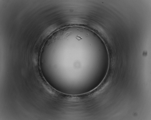 X0000102530833200808081450