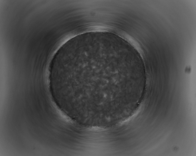 X0000102530835200808081450