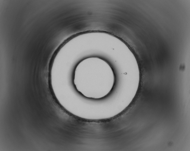 X0000102530836200808081450