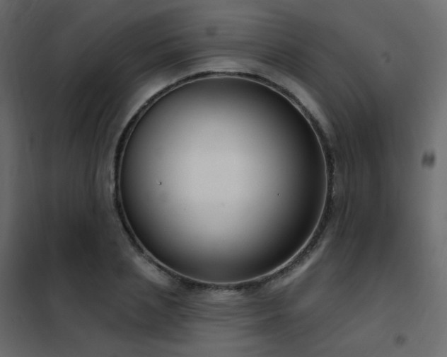 X0000102530837200808081450