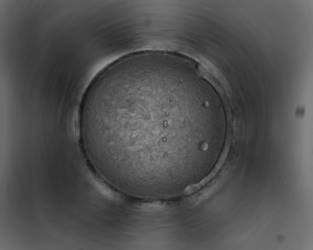 X0000102530838200808081450