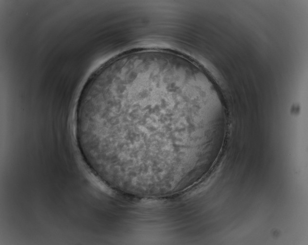 X0000102530840200808081450