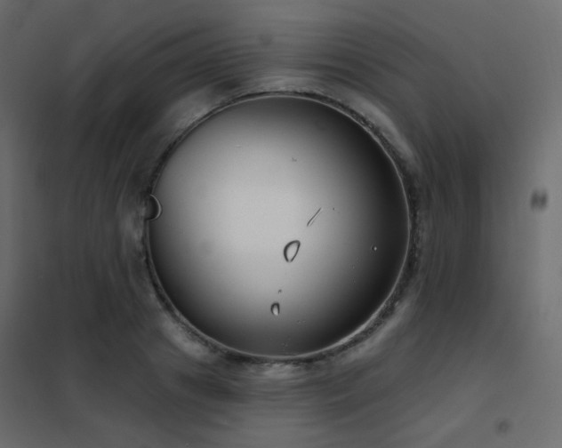 X0000102530841200808081450