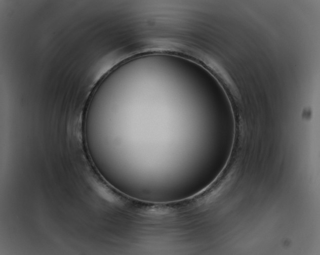 X0000102530842200808081450