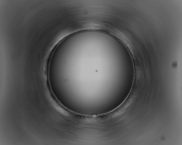 X0000102530843200808081450