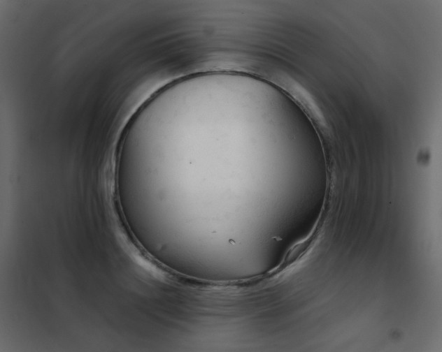 X0000102530844200808081450