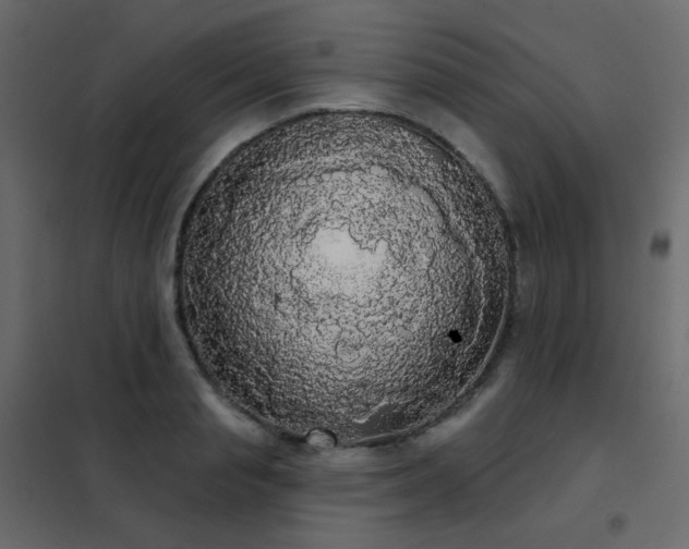 X0000102530845200808081450