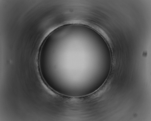 X0000102530847200808081450