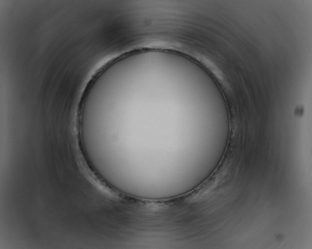 X0000102530848200808081450