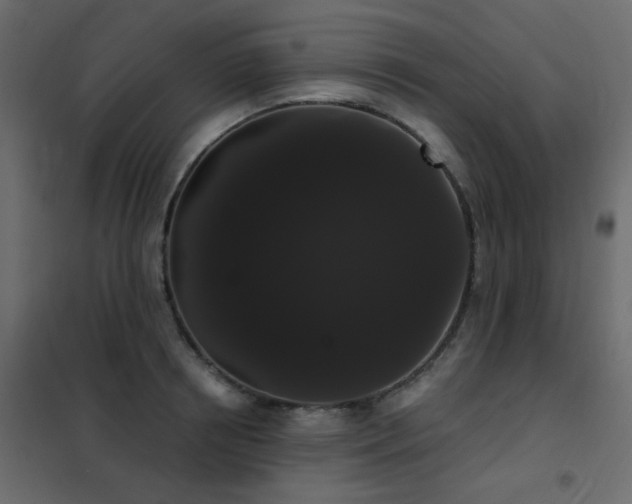 X0000102530850200808081450