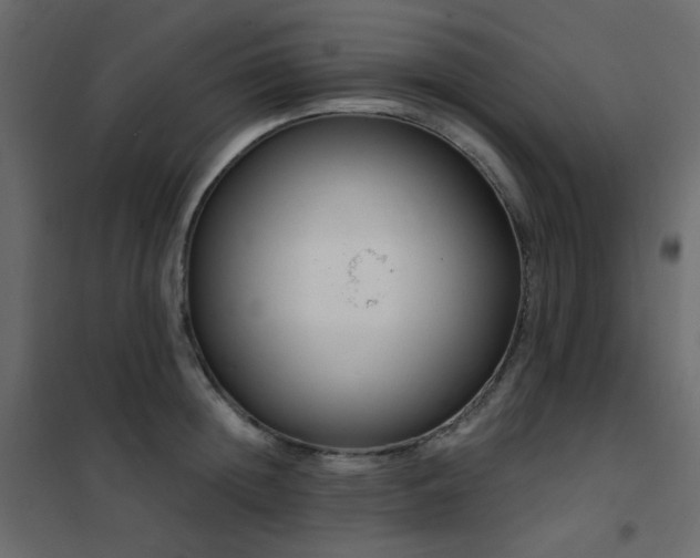 X0000102530852200808081450