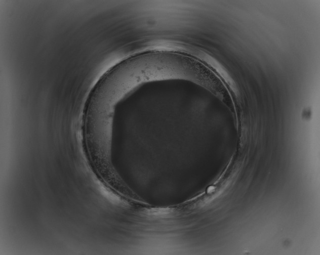 X0000102530853200808081450