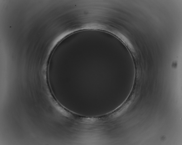 X0000102530854200808081450