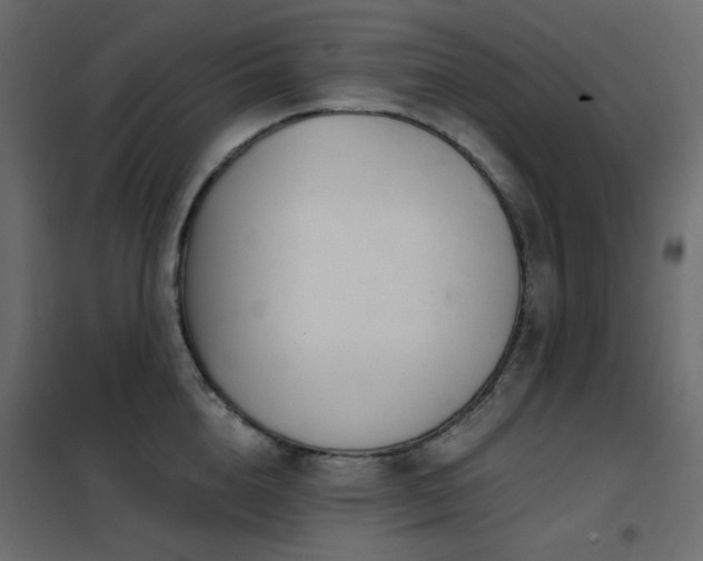 X0000102530856200808081450