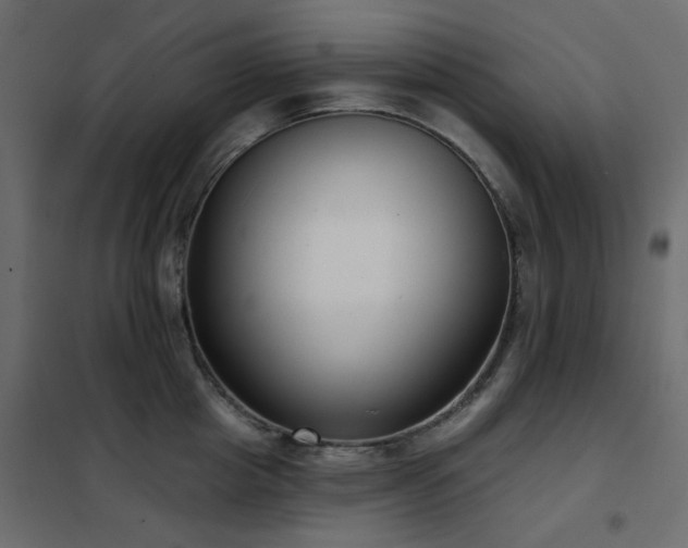 X0000102530857200808081450