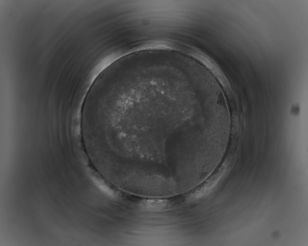 X0000102530858200808081450