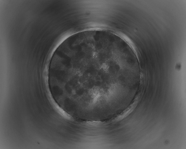 X0000102530859200808081450