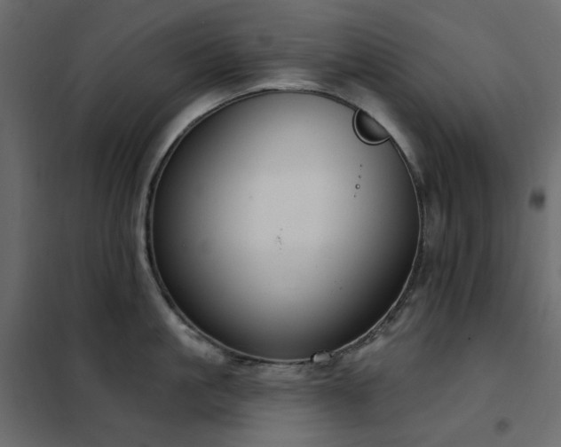 X0000102530861200808081450
