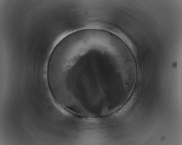 X0000102530862200808081450
