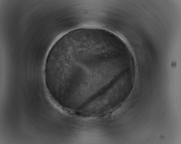 X0000102530864200808081450