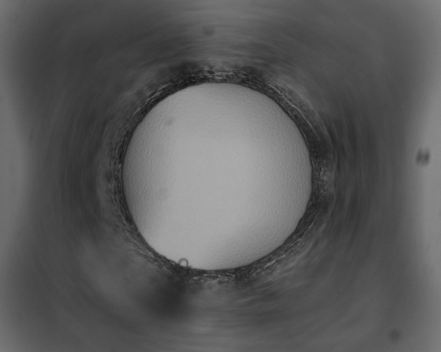 X0000102530865200808081449
