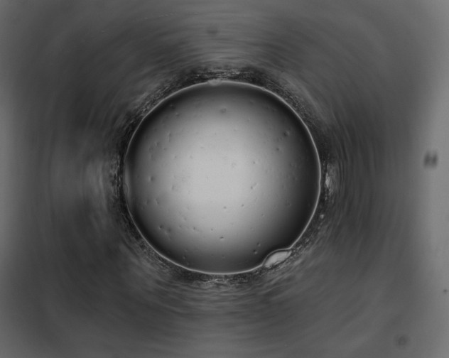 X0000102530867200808081449