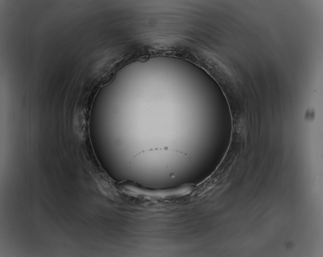 X0000102530868200808081449