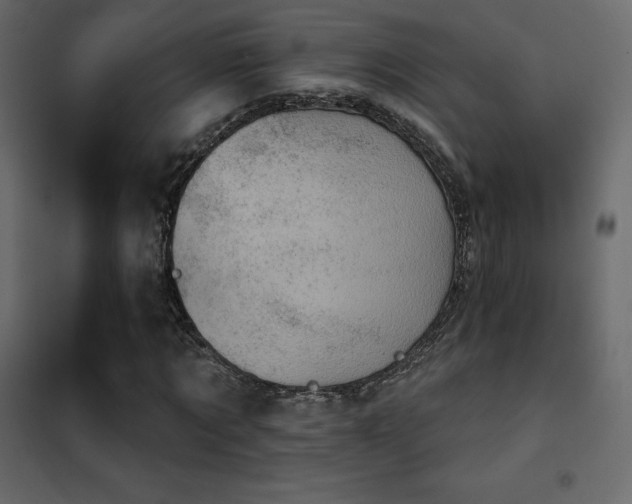 X0000102530869200808081449