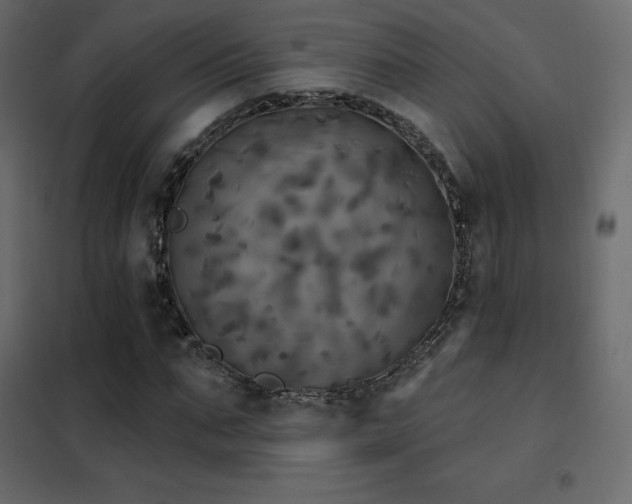 X0000102530871200808081449