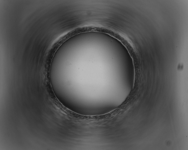 X0000102530872200808081449