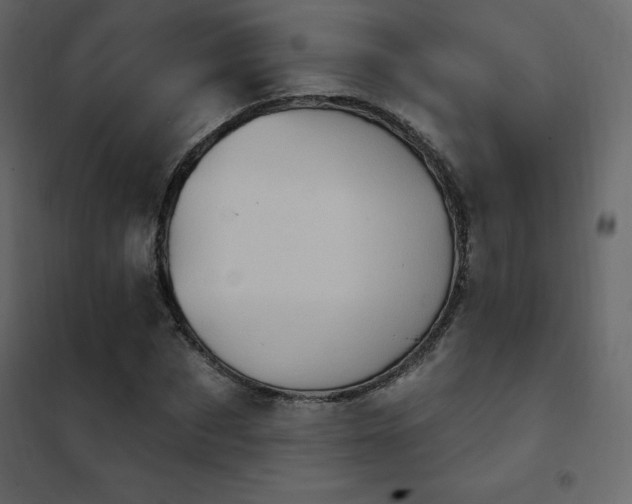 X0000102530873200808081449