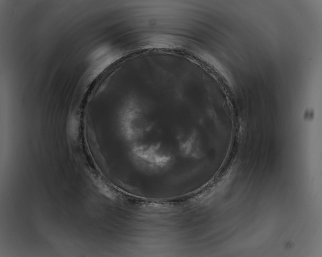 X0000102530874200808081449
