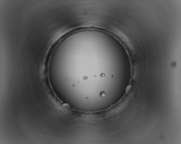 X0000102530876200808081449