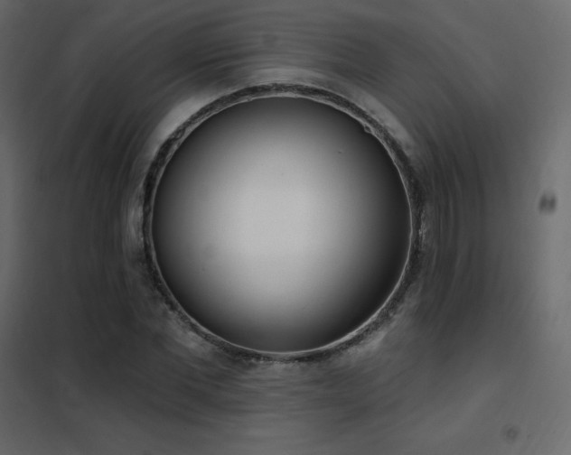 X0000102530877200808081449