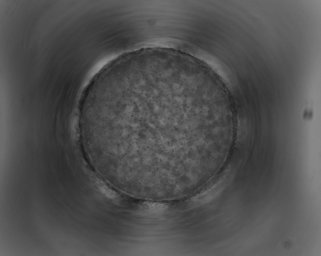 X0000102530878200808081449