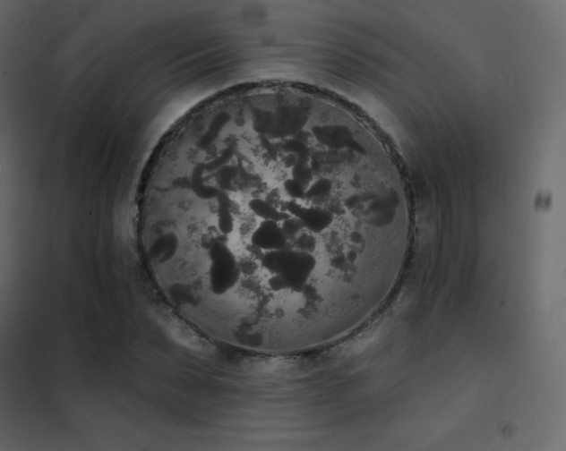 X0000102530879200808081449