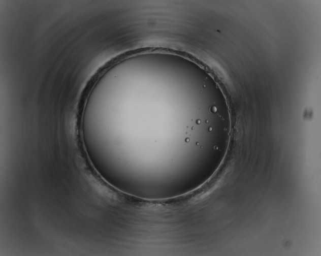 X0000102530880200808081449
