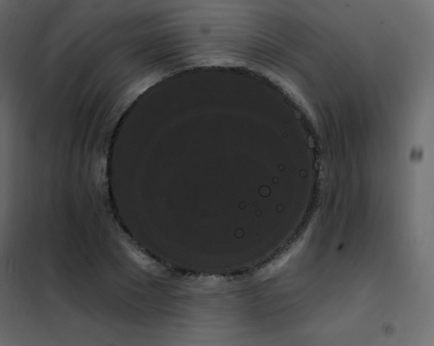 X0000102530881200808081449