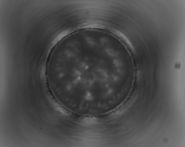 X0000102530882200808081449