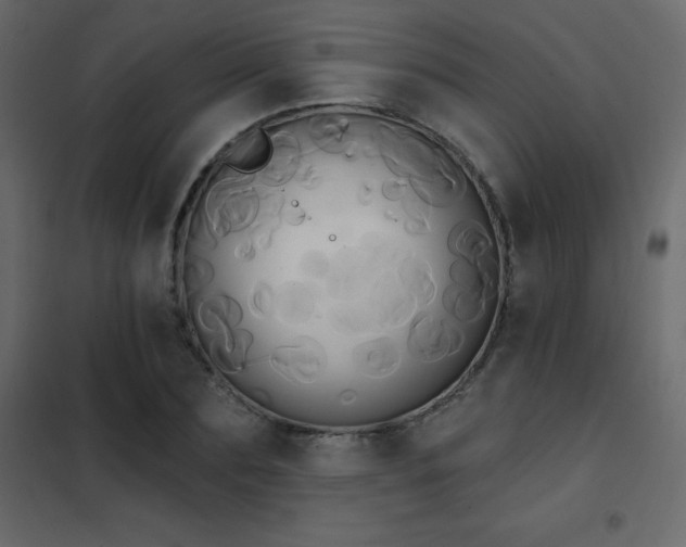 X0000102530883200808081449